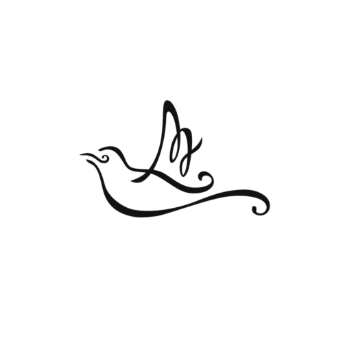 Image of Animas Mundi logo